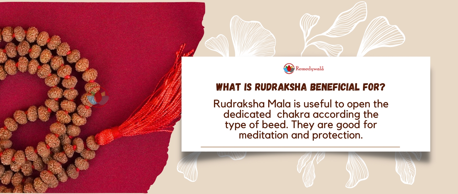 7 Mukhi Rudraksha Mala