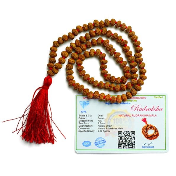 7 Mukhi Rudraksha Mala