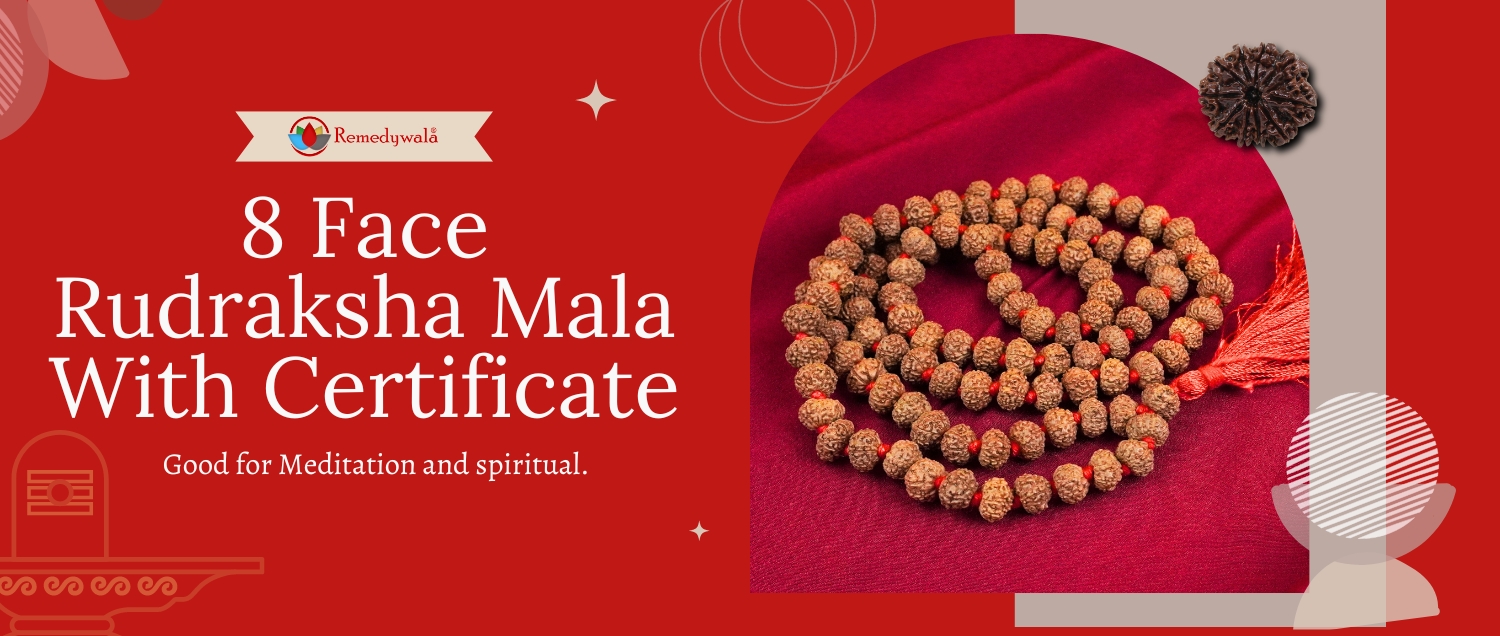 8 Mukhi Rudraksha Mala