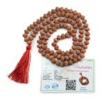 8 Mukhi Rudraksha Mala