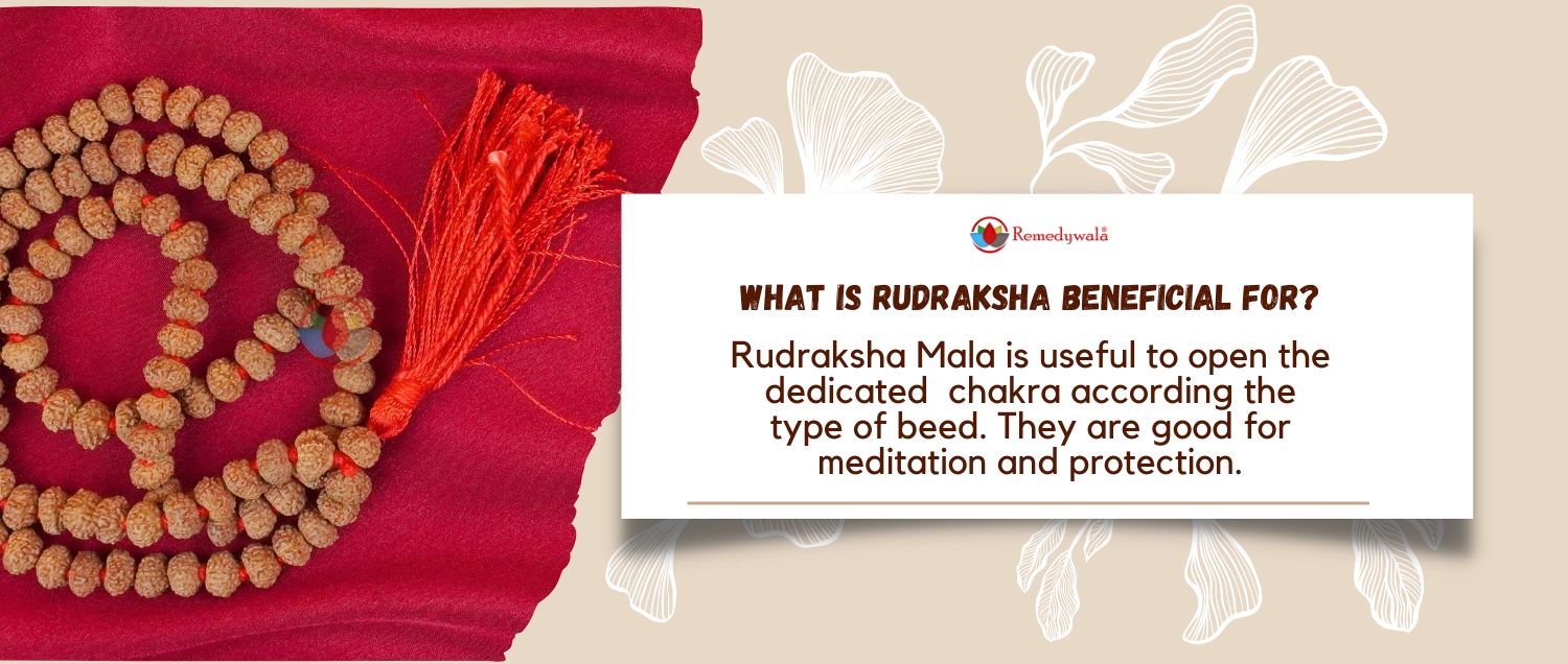 9 Mukhi Rudraksha Mala