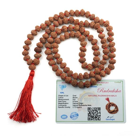 9 Mukhi Rudraksha Mala