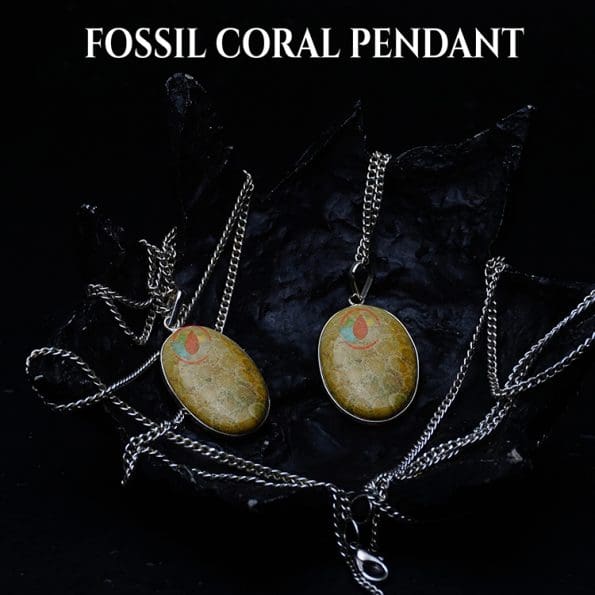 Fossil Coral Pendant