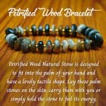 Petrified Wood 4mm bati (2)