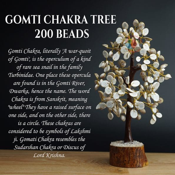 Gomti Chakra Tree 200 Beads