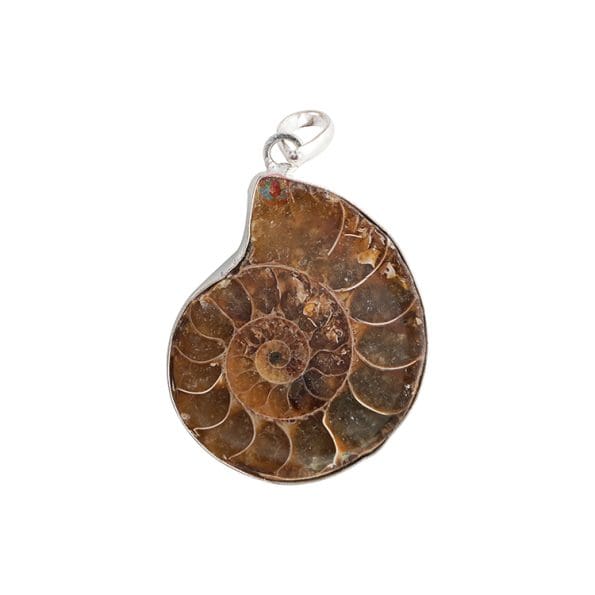 Ammonite Pendant