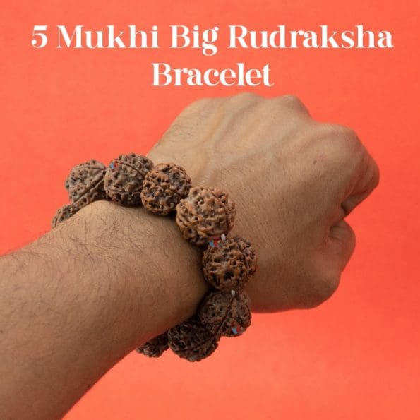 5 Mukhi Big Rudraksha Bracelet