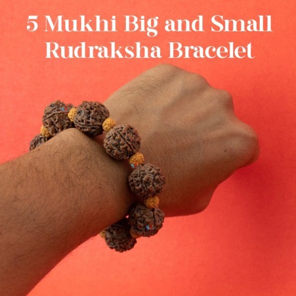 5 Mukhi Big and Small Rudraksha Bracelet