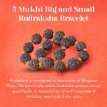 5 Mukhi Big and Small Rudraksha Bracelet