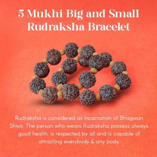 5 Mukhi Big and Small Rudraksha Bracelet