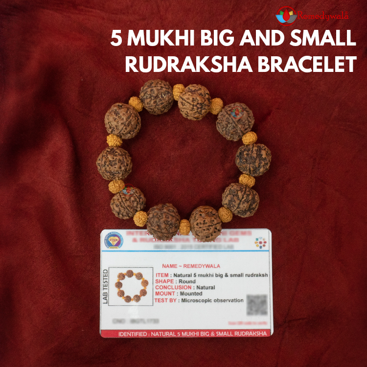 Rudraksha Buddhist Bracelet - DharmaShop