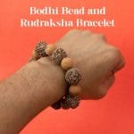 Bodhi Bead and Rudraksha Bracelet