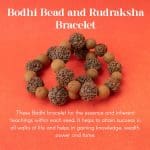 Bodhi Bead and Rudraksha Bracelet