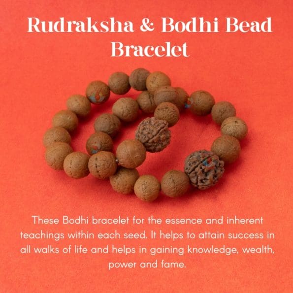 Rudraksha & Bodhi Bead Bracelet