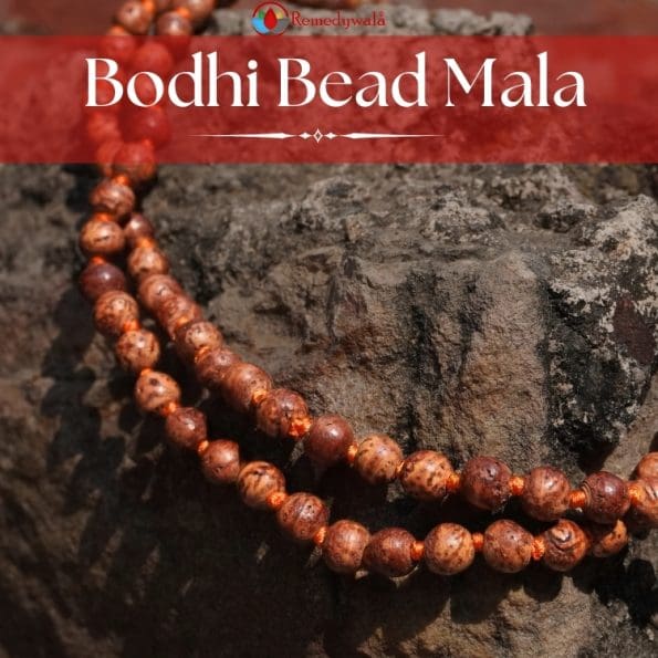 Bodhi Bead Mala