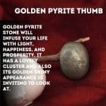 Golden Pyrite Thumb Coin