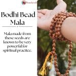 Bodhi Bead Mala