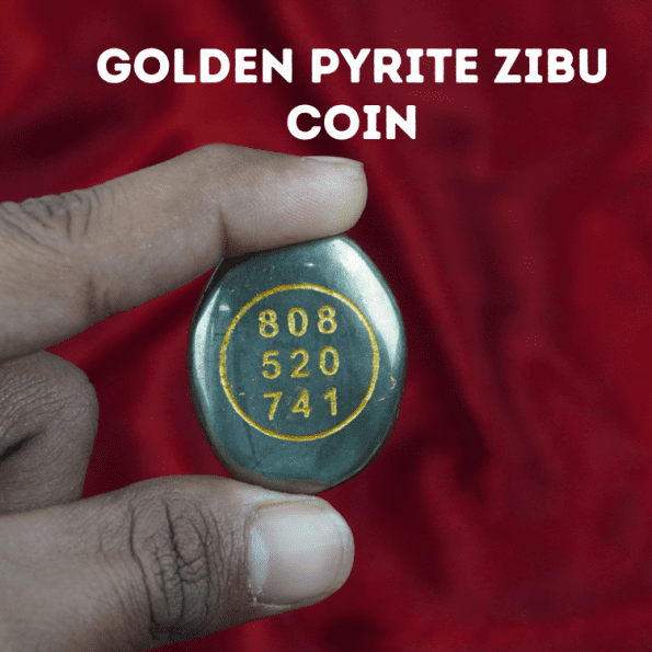 Golden Pyrite Zibu Coin