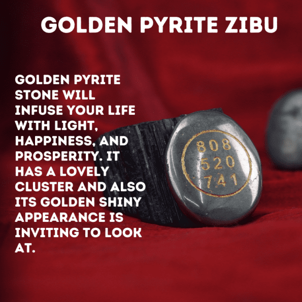 Golden Pyrite Zibu Coin