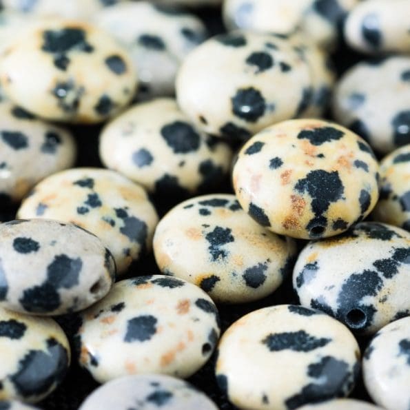 Dalmatian Jasper