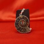 Ammonite Fossil Pendant