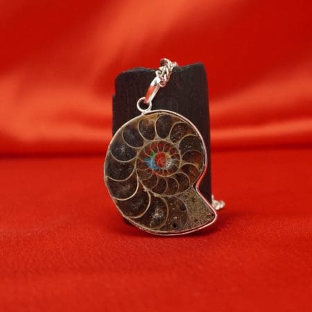 Ammonite Pendant