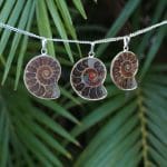 Ammonite Fossil Pendant