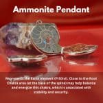 Ammonite Fossil Pendant