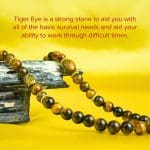 Tiger Eye Double Layer 8mm Bracelet