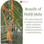 Haldi Mala (2)