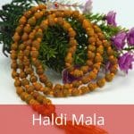 Haldi Mala (2)