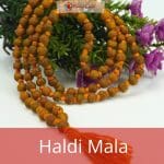 Haldi mala (2)