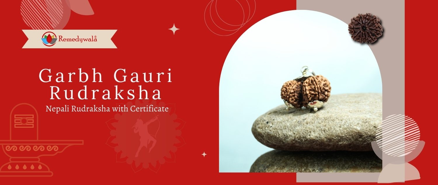 Garbh Gauri Rudraksha