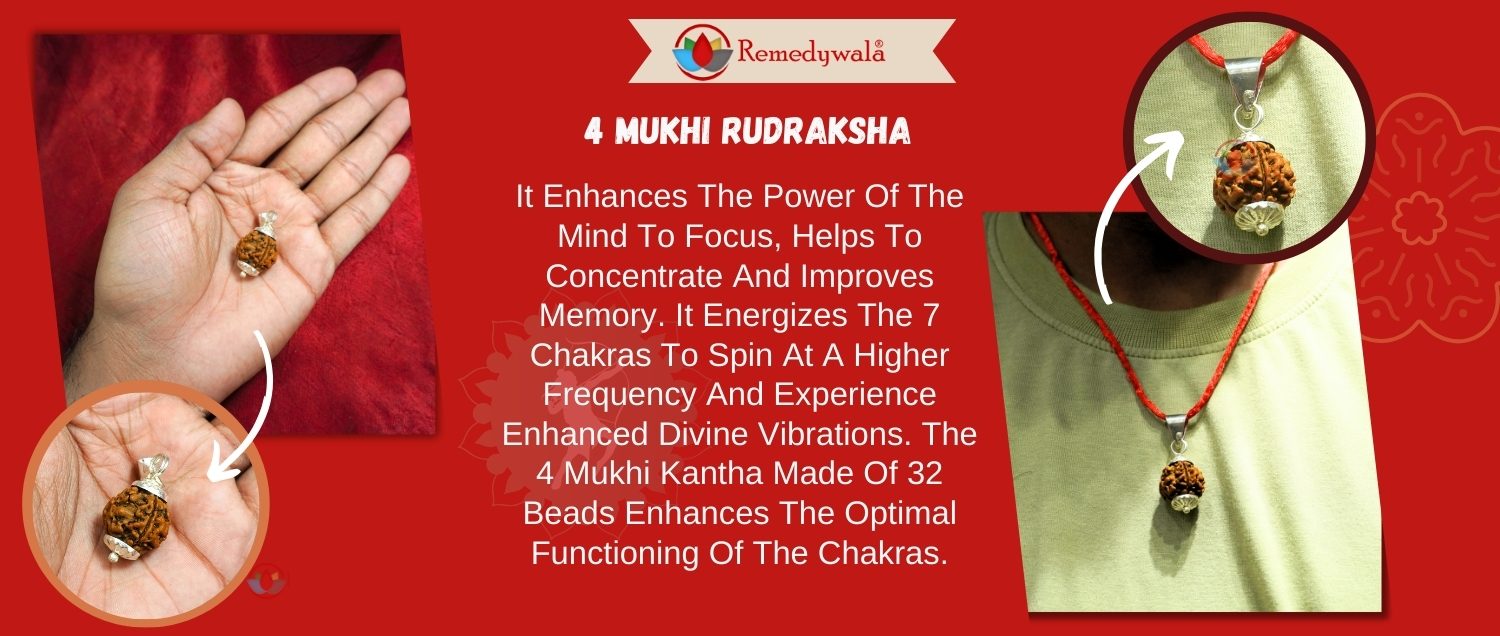 4 Mukhi Rudraksha / Four Face Rudraksha