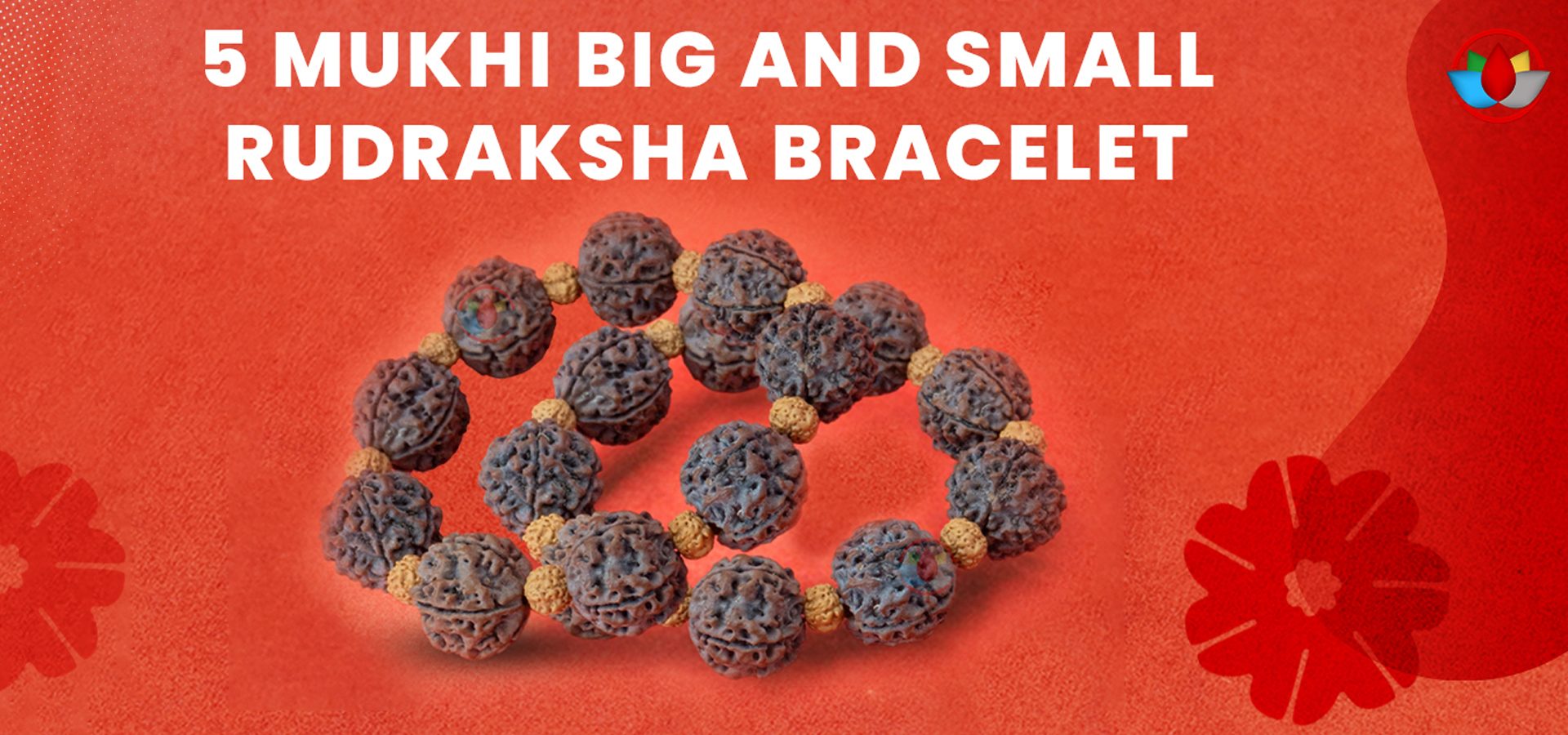 5 Mukhi Big and Small Rudraksha Bracelet