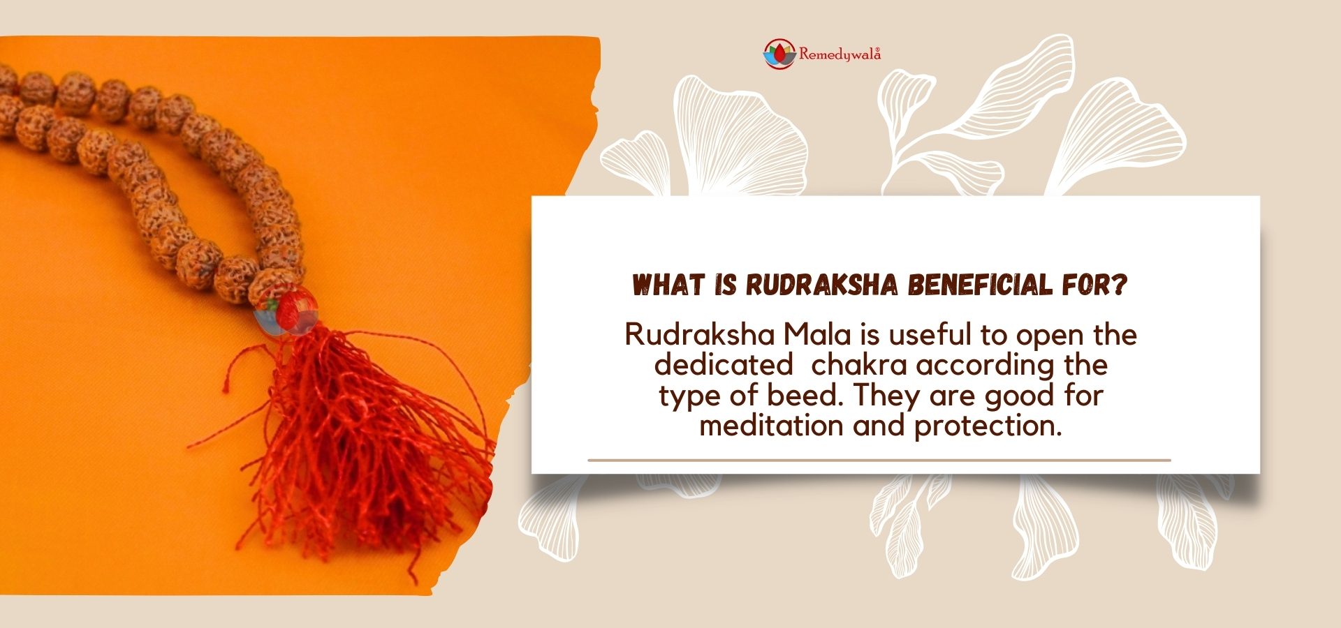 5 Mukhi Rudraksha Pathri Mala 7mm (4)