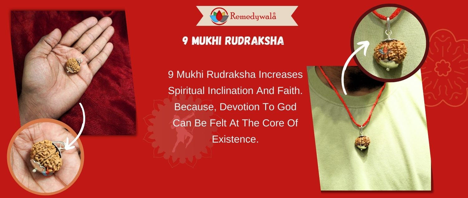 9 Mukhi Rudraksha / Nine Face Rudraksha