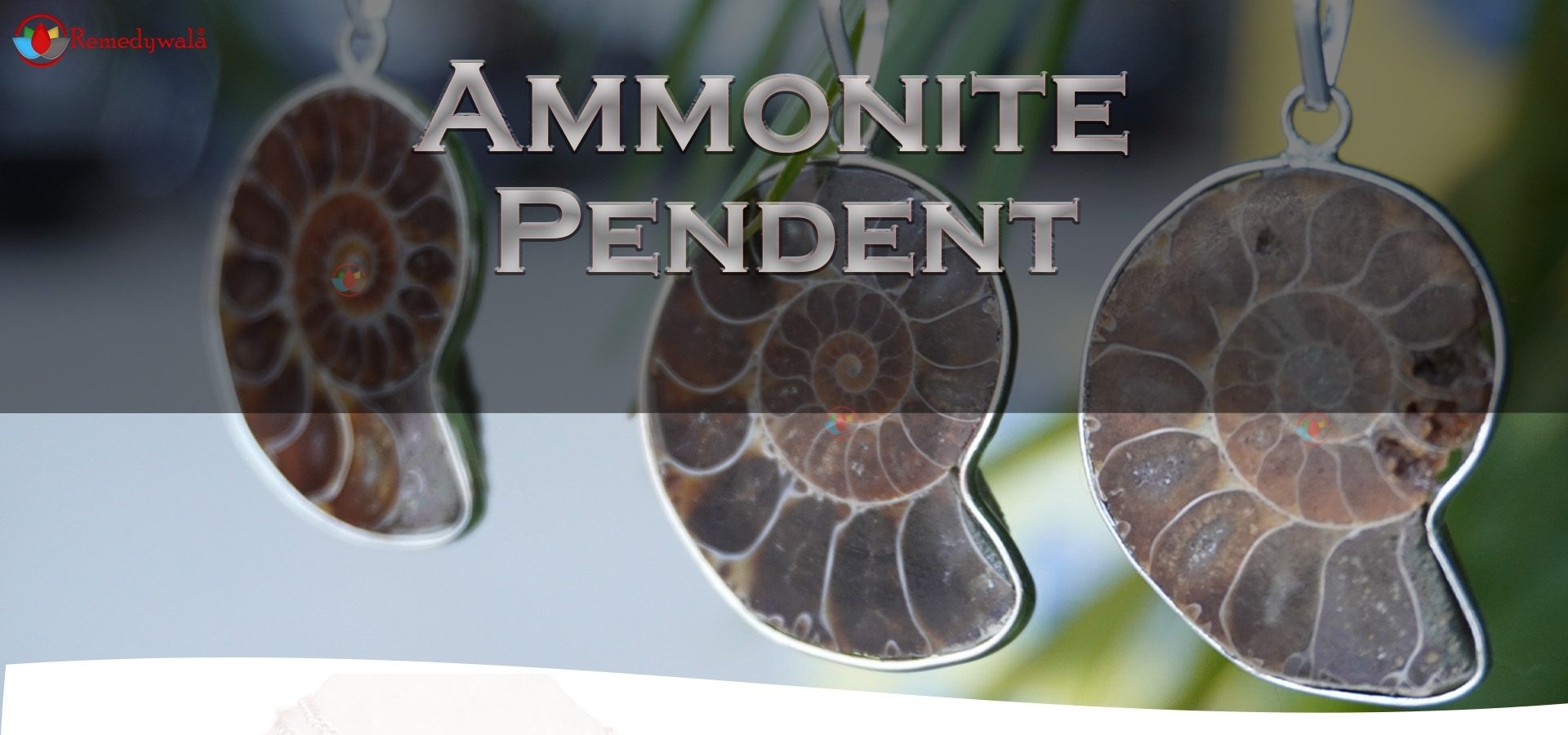 Ammonite Pendant A+