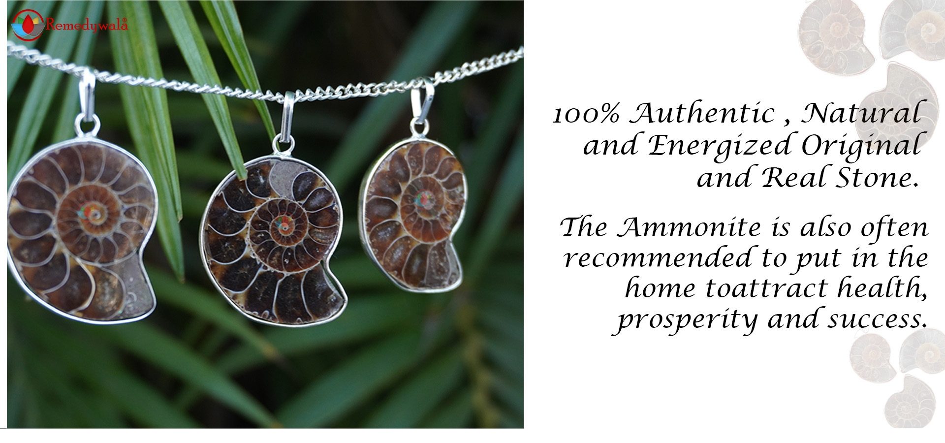 Ammonite Pendant A+