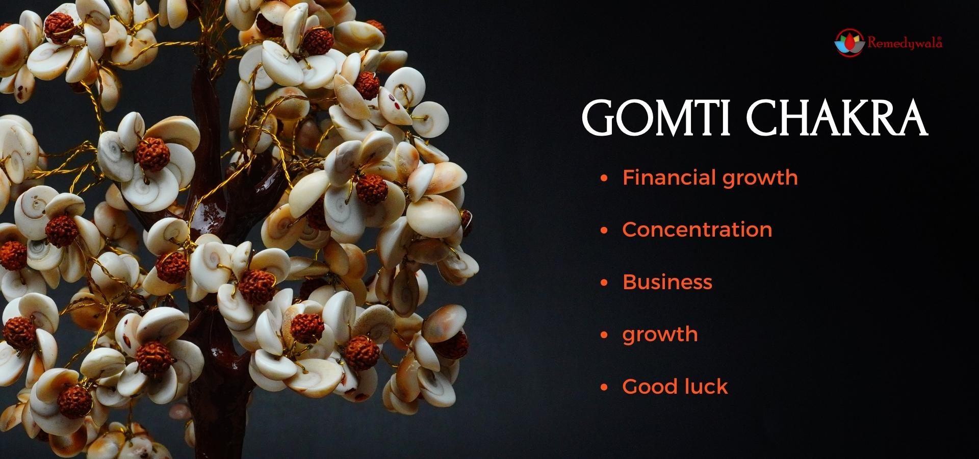 Gomti Chakra Tree 200 Beads