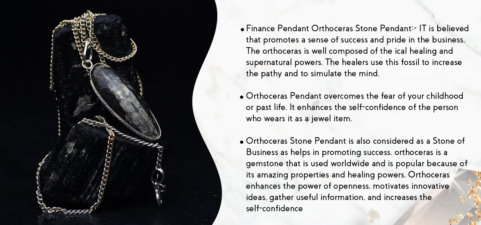 Orthoceras Pendant (Finance)