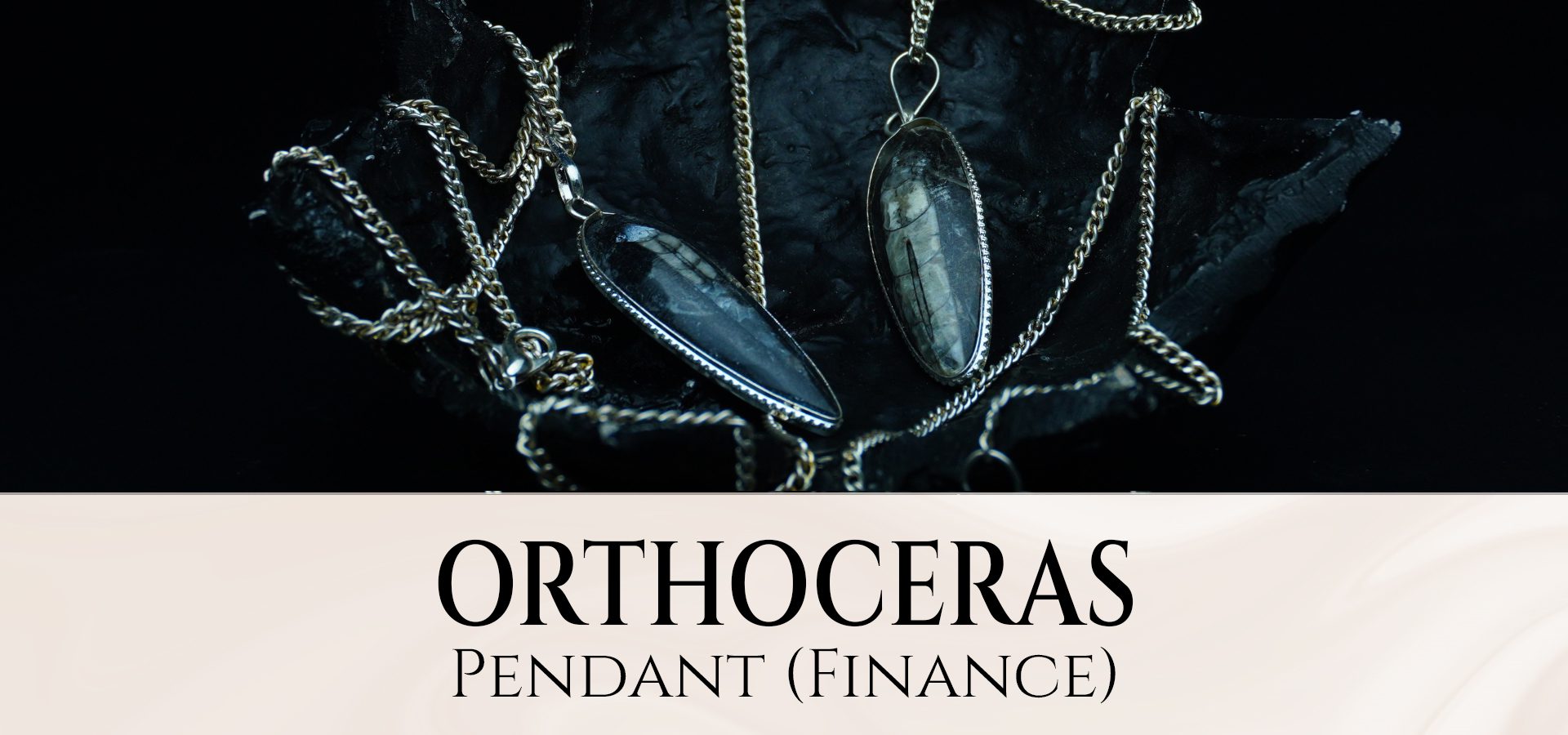 Orthoceras Pendant (Finance)