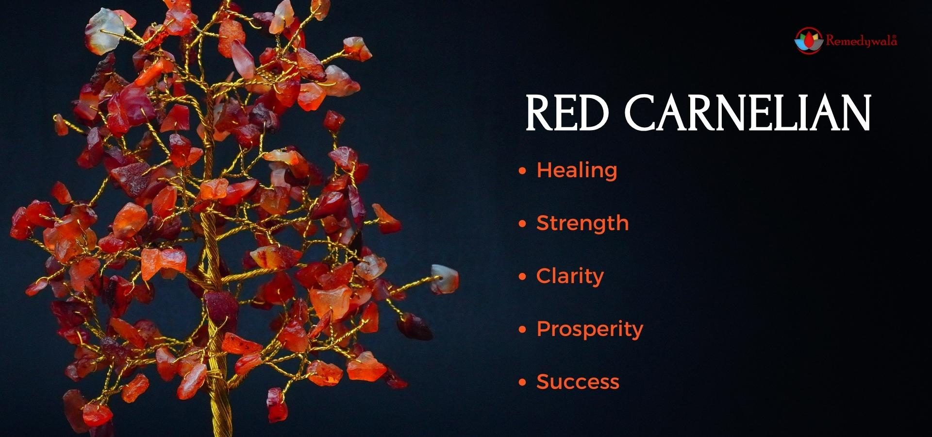 Red Carnelian 200 Beads Tree