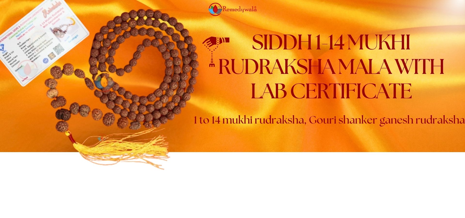 Siddh 1-14 Mukhi Rudraksha Mala with Lab Certificate (1)