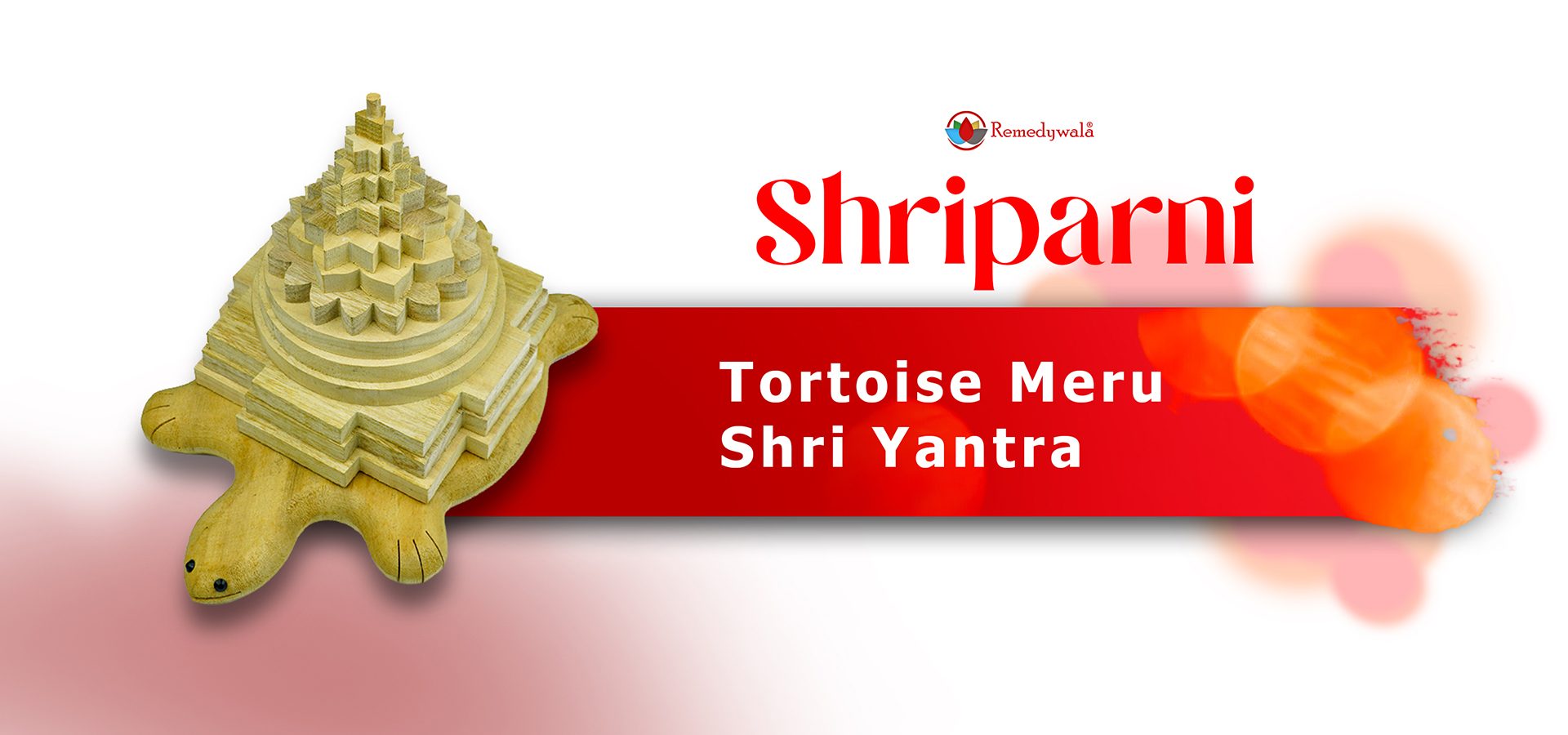 Tortoise Meru Shriparni Shri Yantra