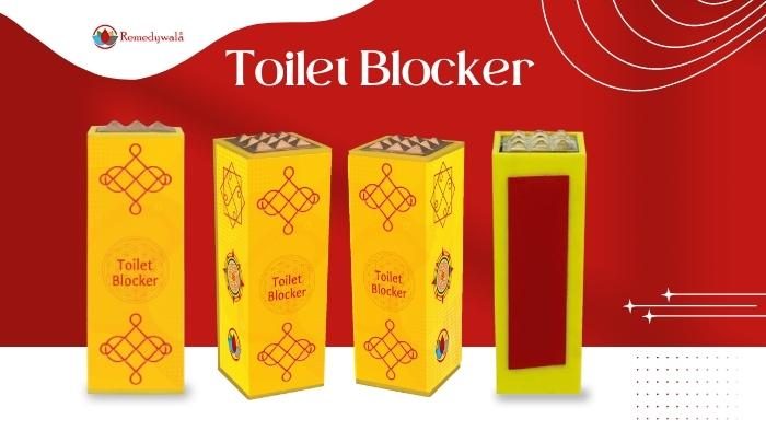 Vastu Toilet Pacifier