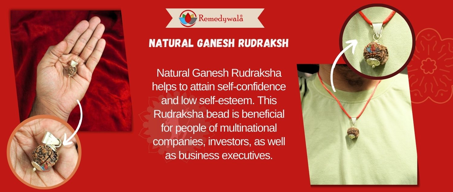 Natural Ganesh Rudraksha