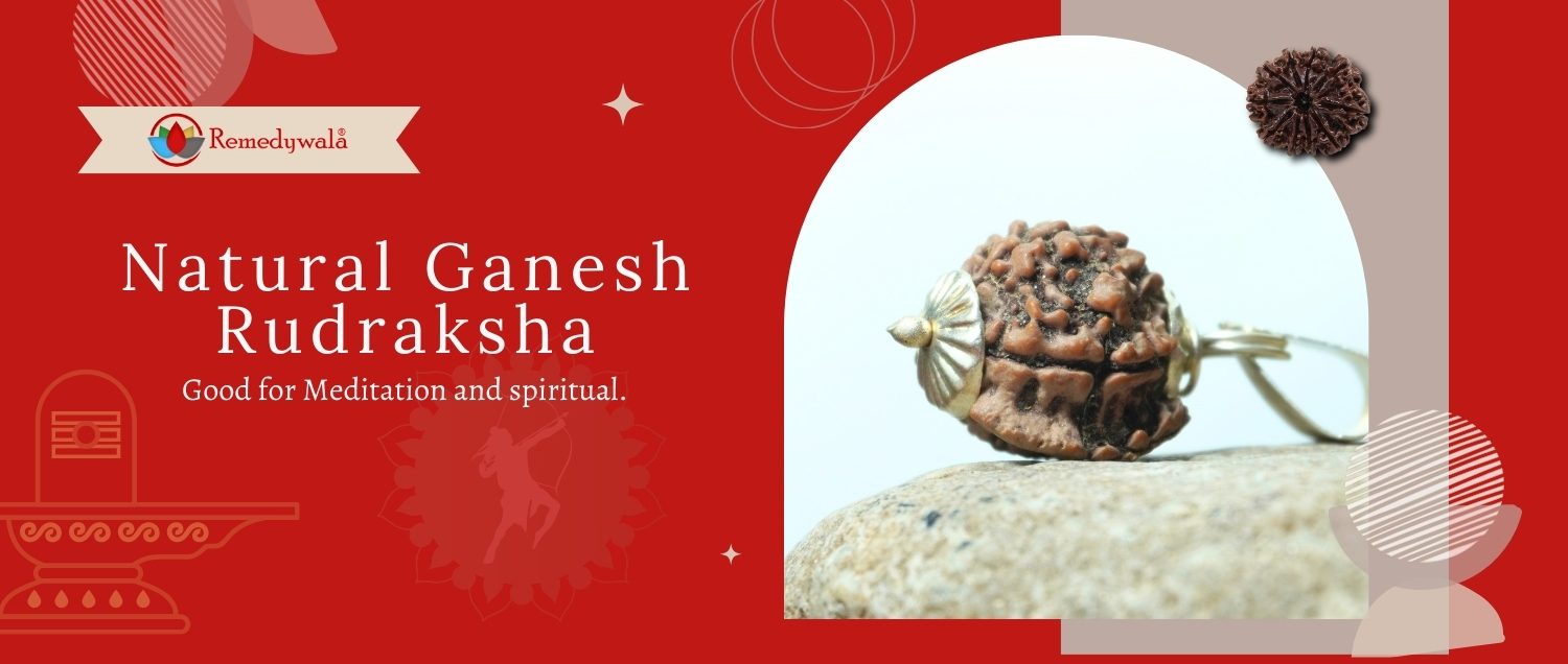 Natural Ganesh Rudraksha