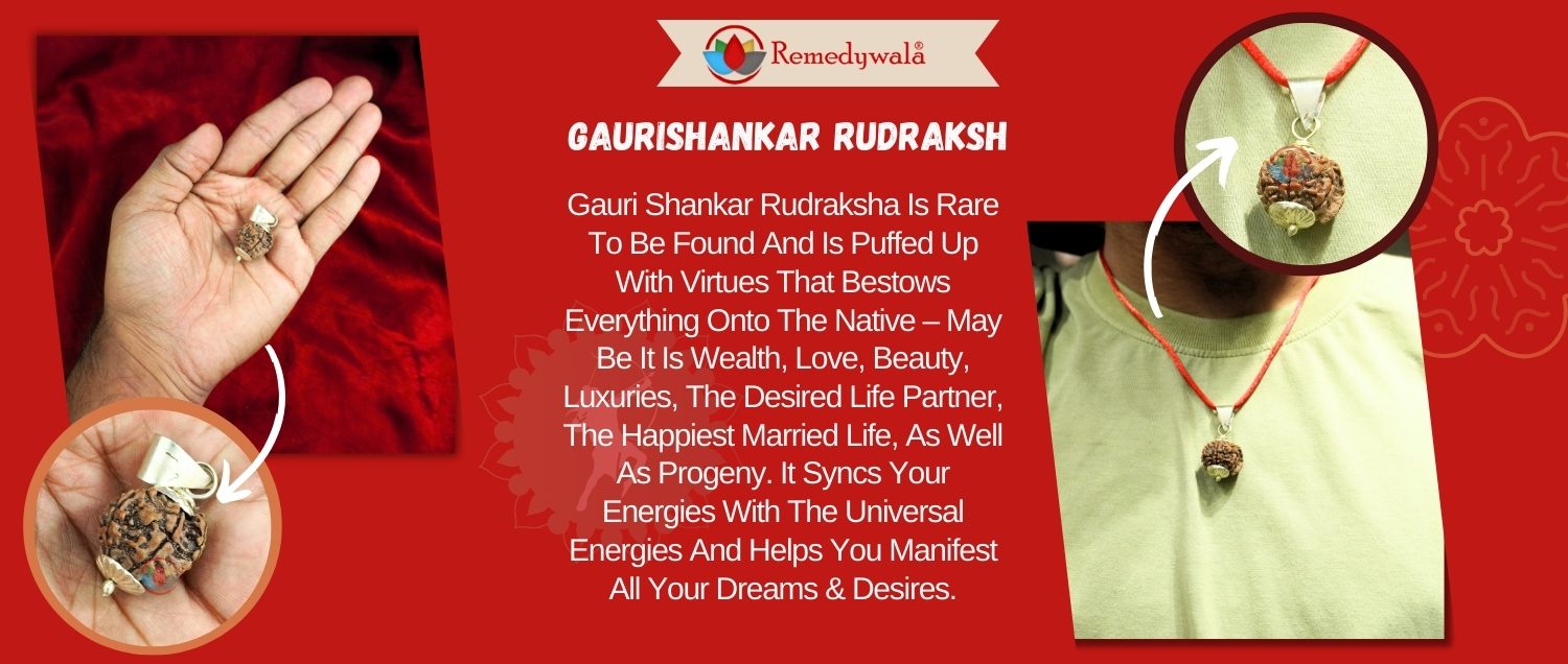 Gauri Shankar Rudraksha